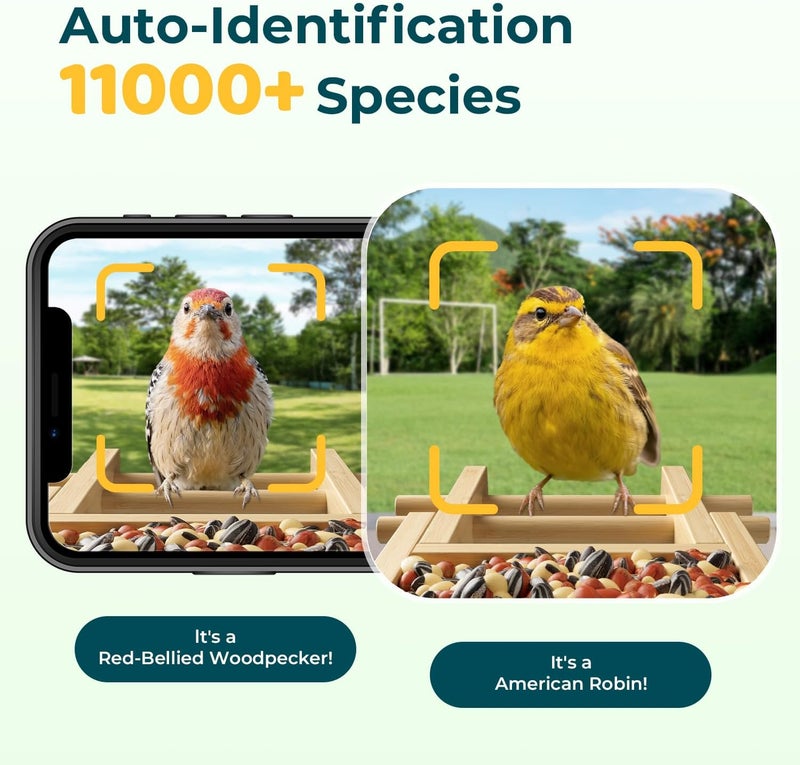 WESTHEY Bird Feeder with Camera Solar Powered, 2.5K HD Upgraded Bamboo Smart Birdfeeder Camera AI Identifies 11,000+ Bird's Species, Birdhouse with Instant Arrival Alerts - Bird Lover Gifts - Image 3